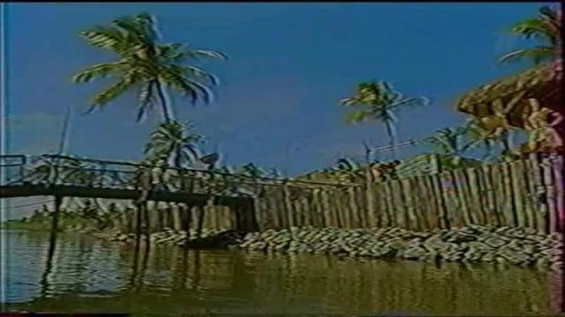 Кадры из сериала Берег мечты (2001)